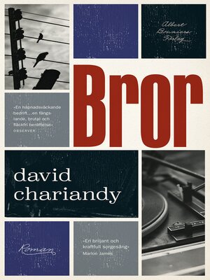 cover image of Bror